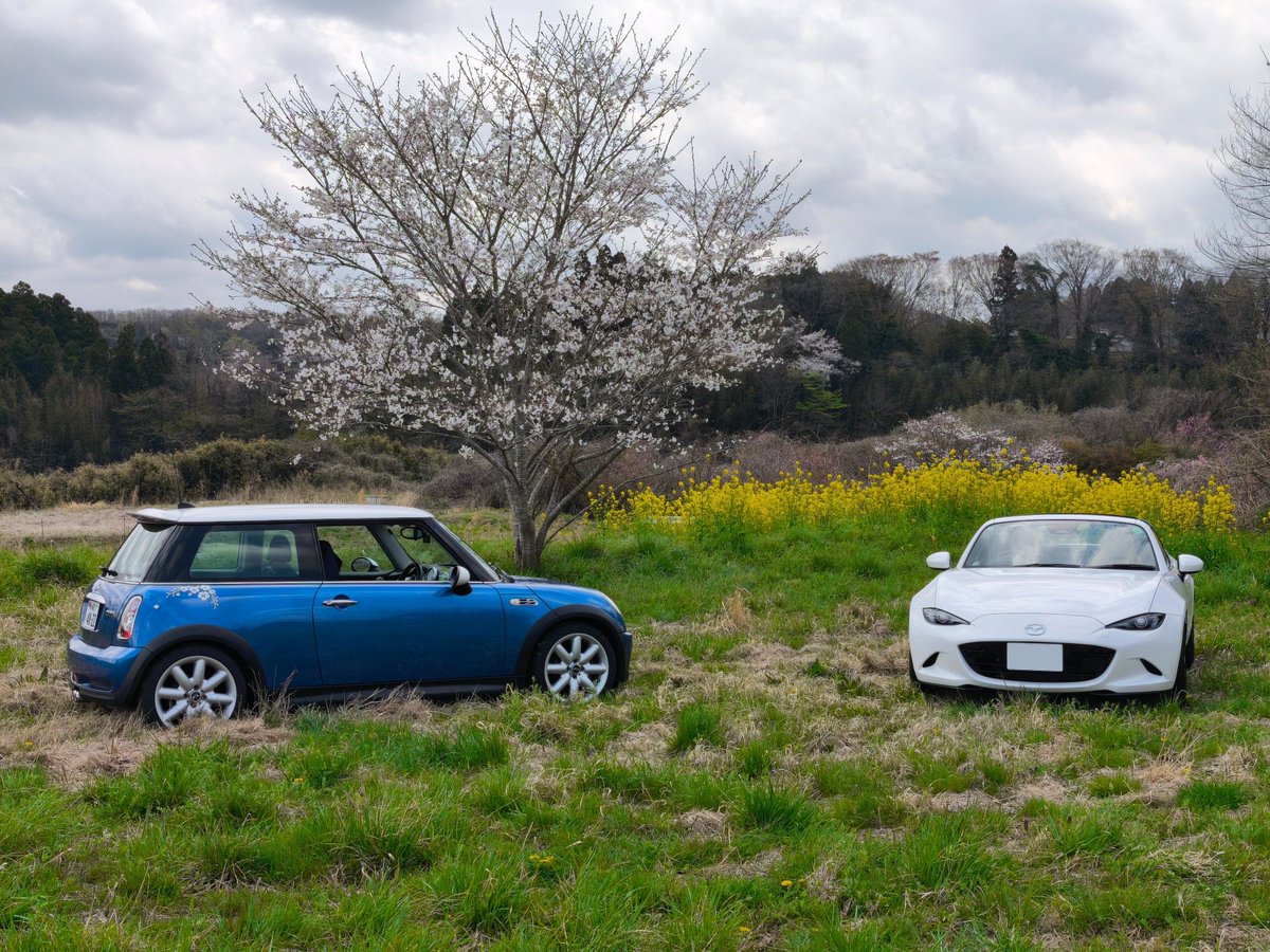 roadster2000_'s tweet photo. ツーリングは楽しい♫

#MINIR53
#ロードスター https://t.co/DHx46ziFXm