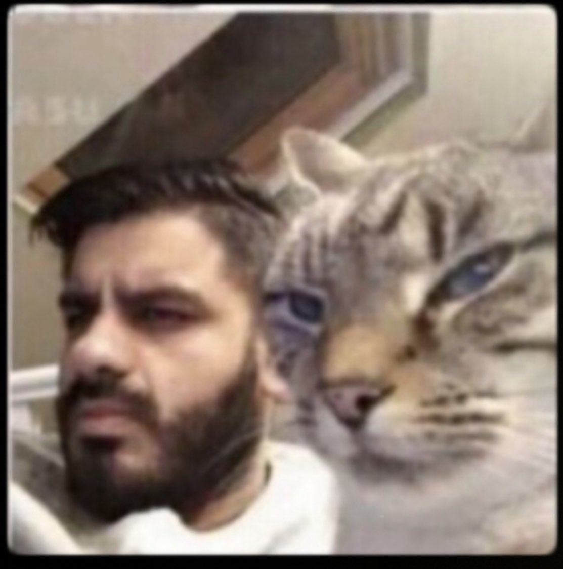 السوق طايح 🙂
اجحدها و قل مو انا

<a href="/khaledalshathry/">خالد بن صالح الشثري</a>