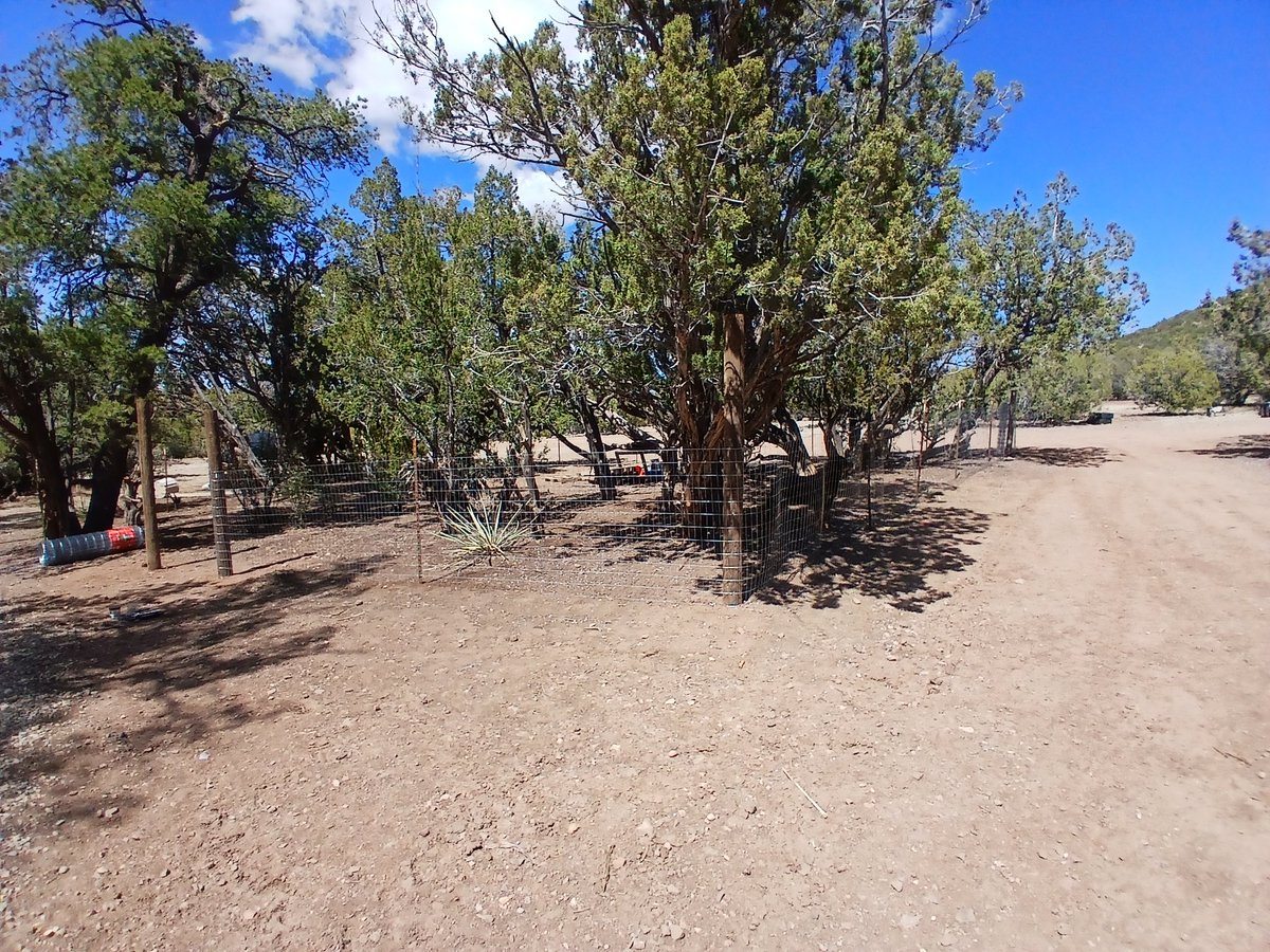 Off-grid update: ⛰️

I've been quietly smashing away at projects around the farm &amp; with the weather getting warmer, this is only the start.  

We're currently installing 200 feet of beautiful fencing to secure our year-round garden. 

* The greenhouse is next &amp; then the chicken