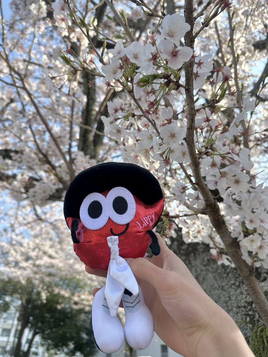 hapomaruB's tweet photo. 🌸全国からNissyへ春をお届け📣🌸

#Nissy_Re10th 全力で完走したNissyへ全国から桜のプレゼント🎁

#Nissy_Re10th最高の到達点をありがとう
#Nissyに私達から春のお知らせ
#各地の桜
#NissyへLippy_Rujju_桜

@NissyStaff https://t.co/QWzmDpZDhm