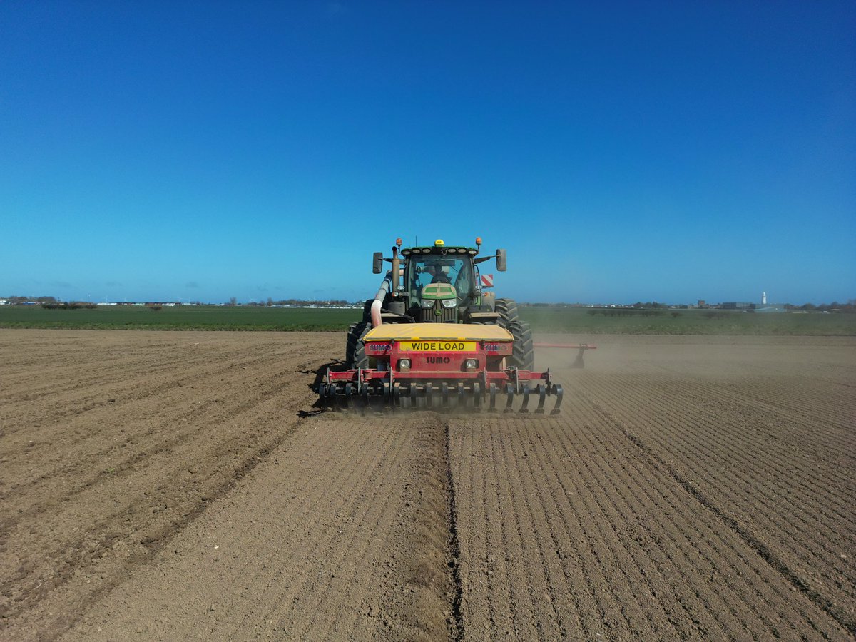 Harry Conner tweet media