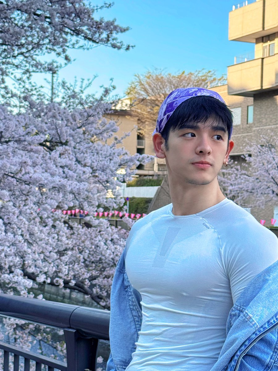 🌸🌸🌸sakura #fyp