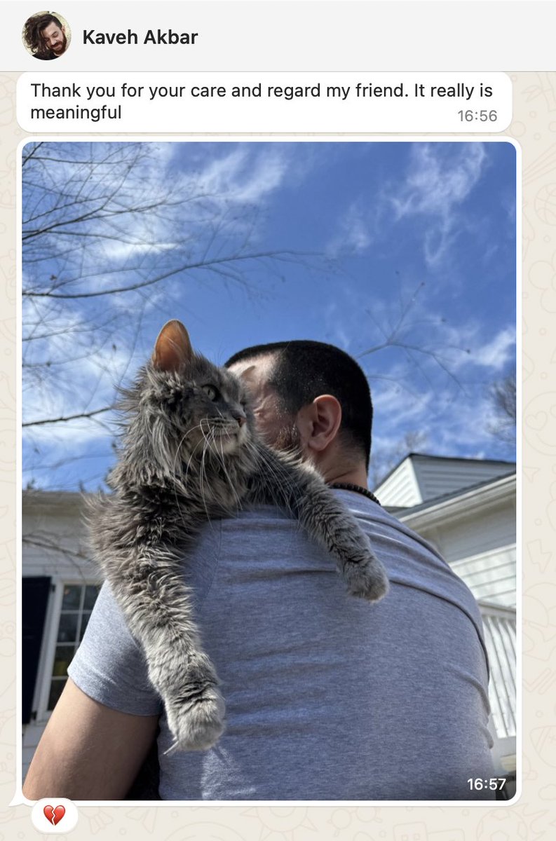 Hace unos días, Kaveh Akbar nos mandó este mensaje.

Su gato Kocholo ("pequeño" en farsi) acababa de morir con solo cinco años. Le llamamos para darle el pésame, pero también para contarle otra cosa... 

(sigue un breve hilo)