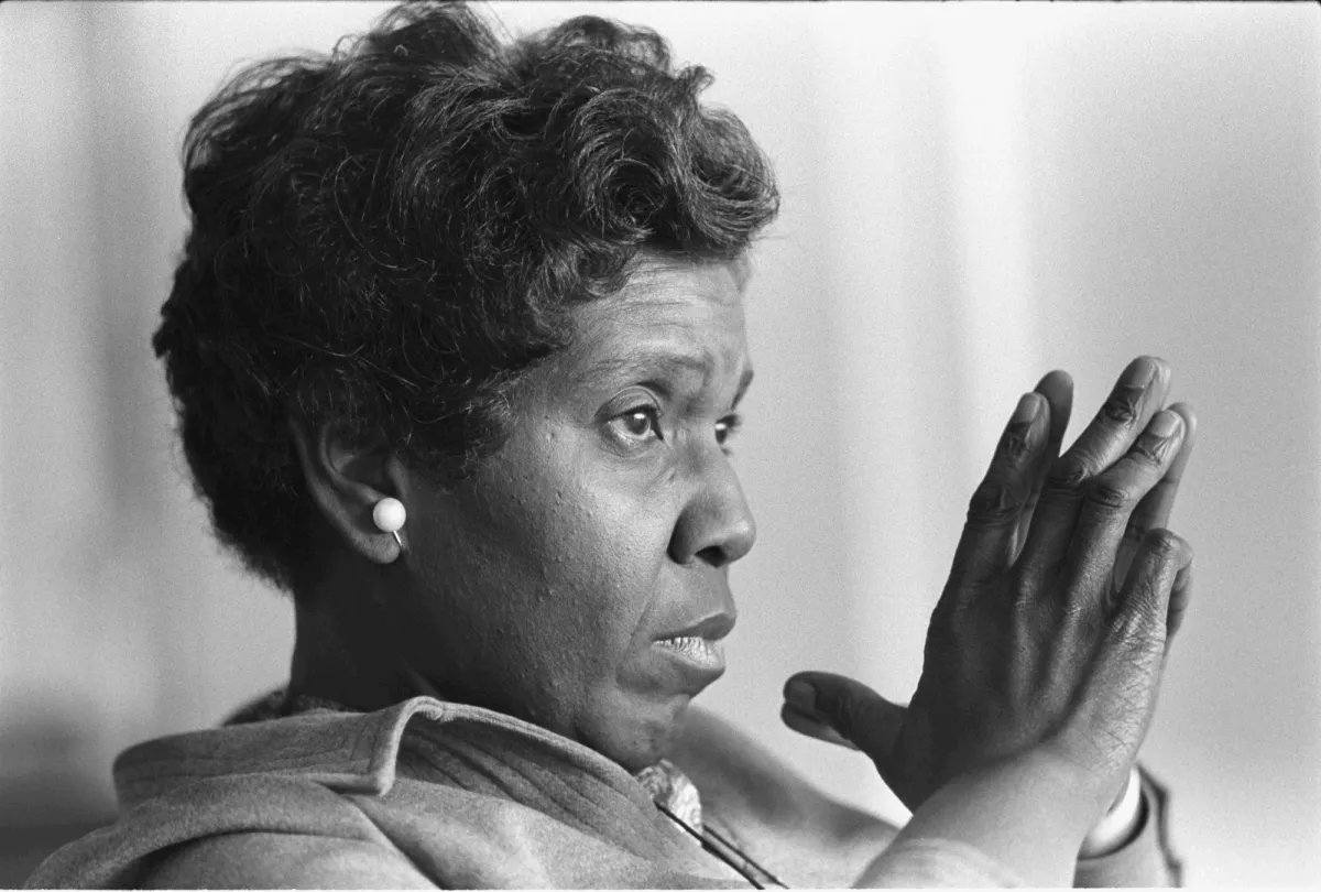 "It has been well-documented that reliance on foreign workers in low-wage, low-skill occupations . . . creates disincentives for employers to improve pay and working conditions."    

--Civil-rights icon Barbara Jordan, chairing Clinton's immigration-reform commission.