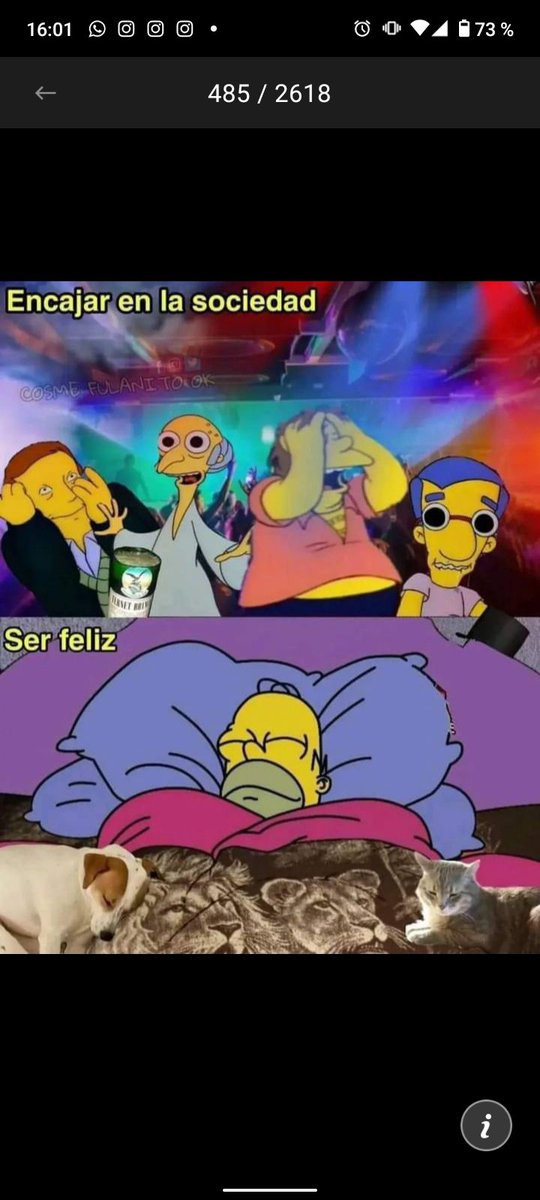 POUPÉE DI PINTO (@pupedipinto) on Twitter photo 