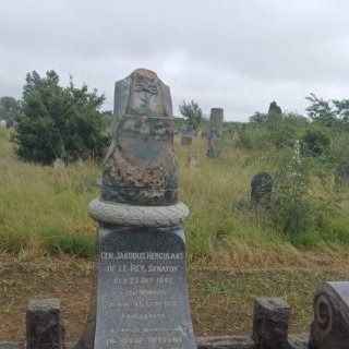 Robert King tweet media