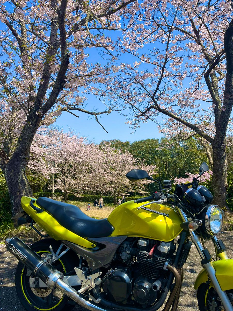 ユーキマ tweet media