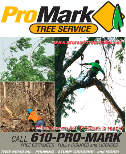 ProMark_Inc's tweet photo. Storm are hitting and ProMark is ready for your storm clean up needs. Call the Pros @ ProMark 610.754.7400 https://t.co/l34Gcwk1Jk