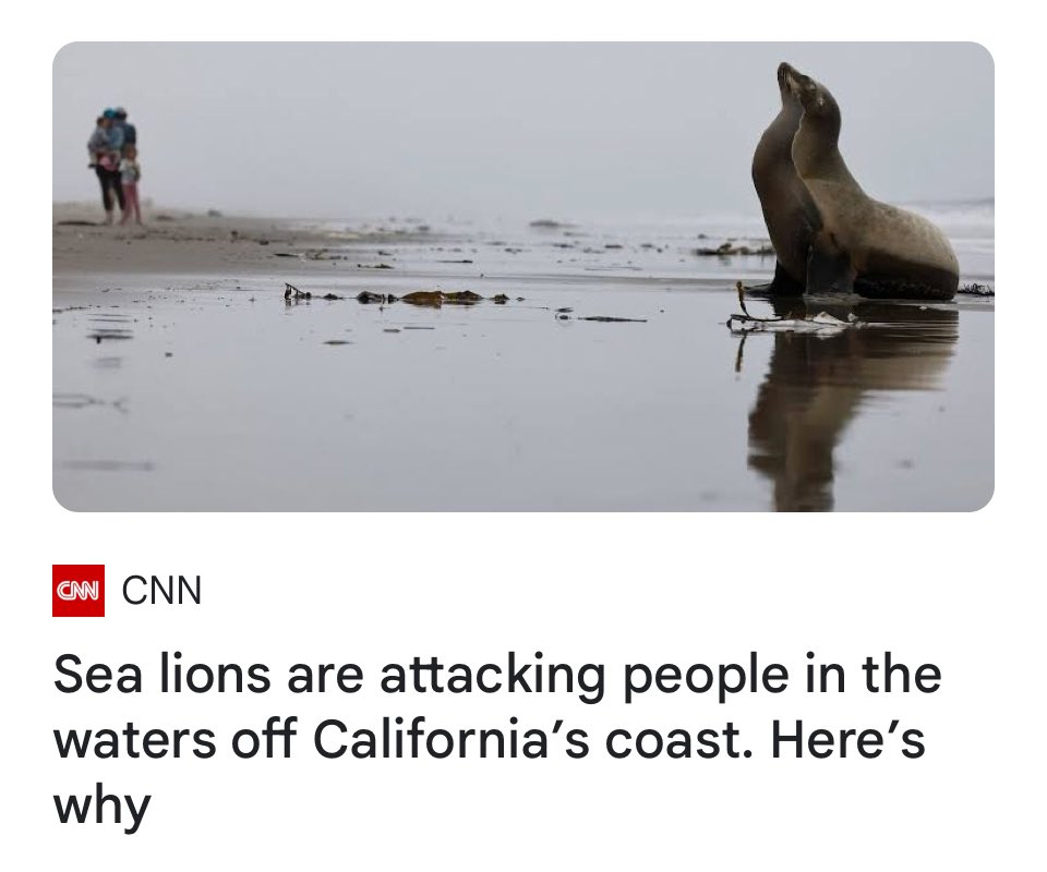 Unhinged Democrat Sea Lions at it again