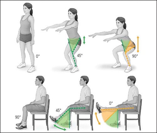 Pt_An70's tweet photo. التمارين العلاجية 🏋️: 

Straight leg rasing 
Leg extension 
Hamstring bridge

هذي دراسة تفيد أهمية تمارين المقاومة 🔍 

https://t.co/sfrWNdSq3R https://t.co/UesMDDuWuo