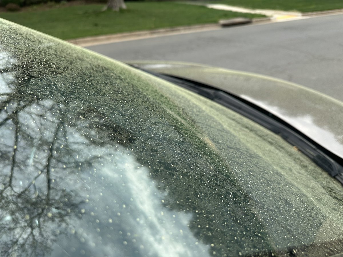 VaDOTNOVA's tweet photo. With two inches of pollen having fallen overnight, we woke up to a Saffron Sunday. Achoo-se to clear your windshield before driving for best visibility.

P.S. No word on whether schools are delayed on Monday. 🤧 https://t.co/fyVmUEk1L1