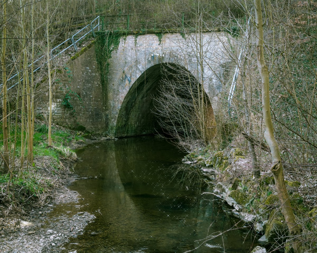 dan23freedom's tweet photo. Twinkle Beneath the Arch
·
📷 1/15 sec at f/8,0, ISO 1000, 35 mm standard 24-50mm.
👤#dan23freedom
#Rural #Exploration #Nature #StoneArchBridge #Bridge #River #Reflections #Trees #Germany #NordrheinWestfalen
#MossCoveredBridge #TranquilRiver #TwinklingStream #BrooksideBanter https://t.co/EWye8kiUEl