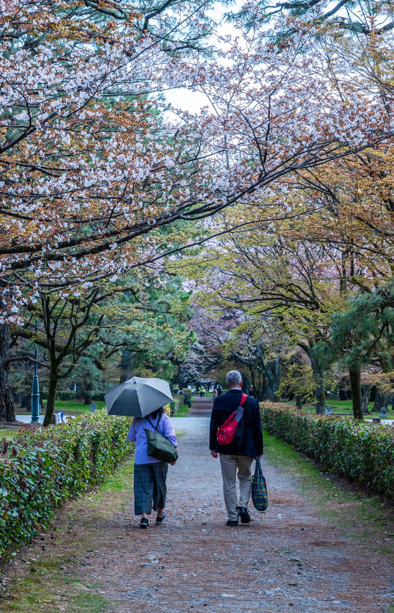 这何尝不是一种梦想的老年生活🥹