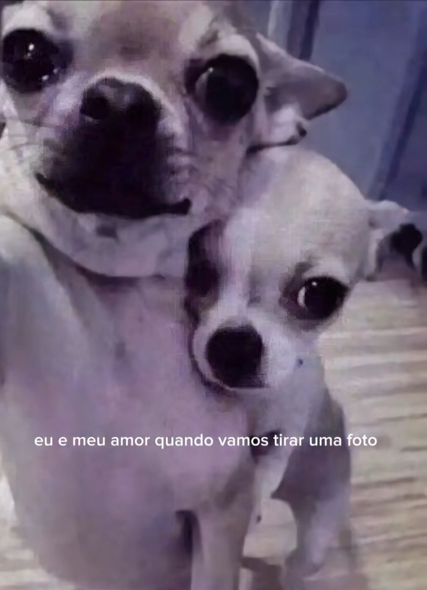 se a terra não é plana como explica o céu reto? (@moreiraviw) on Twitter photo 