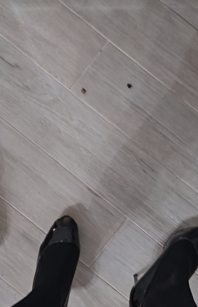 The only thing I hate about living in Florida. Every time it rains. These ugly bastards show up!