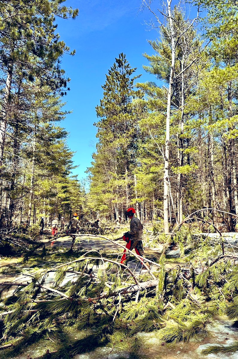 Everyone wants to get back to normal, and so do we. DNR teams are cooperating with Michigan National Guard units on specific, priority missions. Be patient and let our crews keep working on assigned tasks while leaders plan future missions. If you need help now, call 2-1-1.