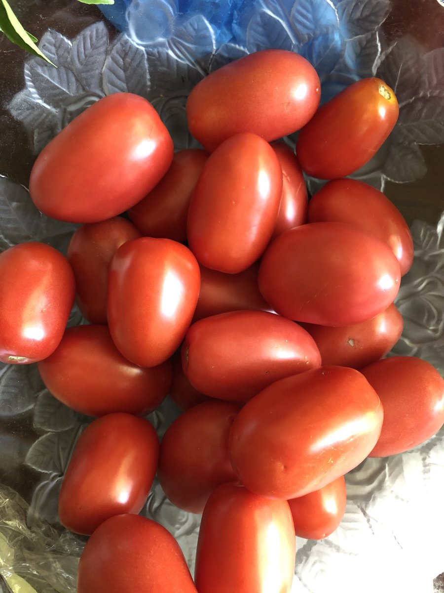 Tomatoes are versatile! US farms produce about 1/3rd of what we consume; another 1/3 frm Mexico ,1/3 frm Canada &amp; the rest frm elsewhere. Production combined with postharvest tech ensures red tomatoes are there everytime you walk into a store! #food #stories