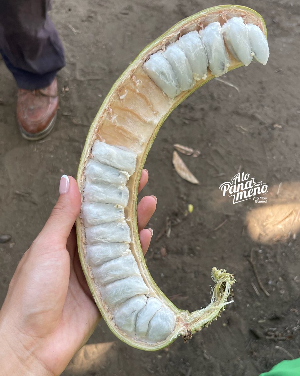 alopanameno's tweet photo. Mi mamá me deja comer de eso 😮💨🤤
#TaMasBueno https://t.co/fHa2G5ivKq