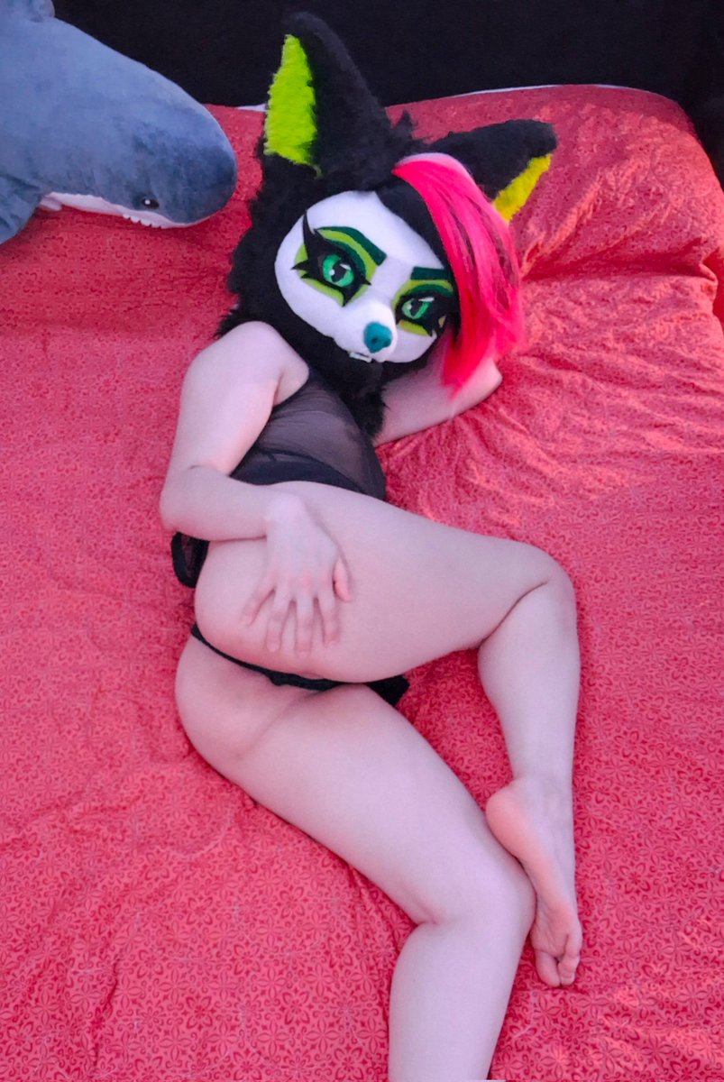 🎂
#murrsuit #fursuitnsfw #nsfw