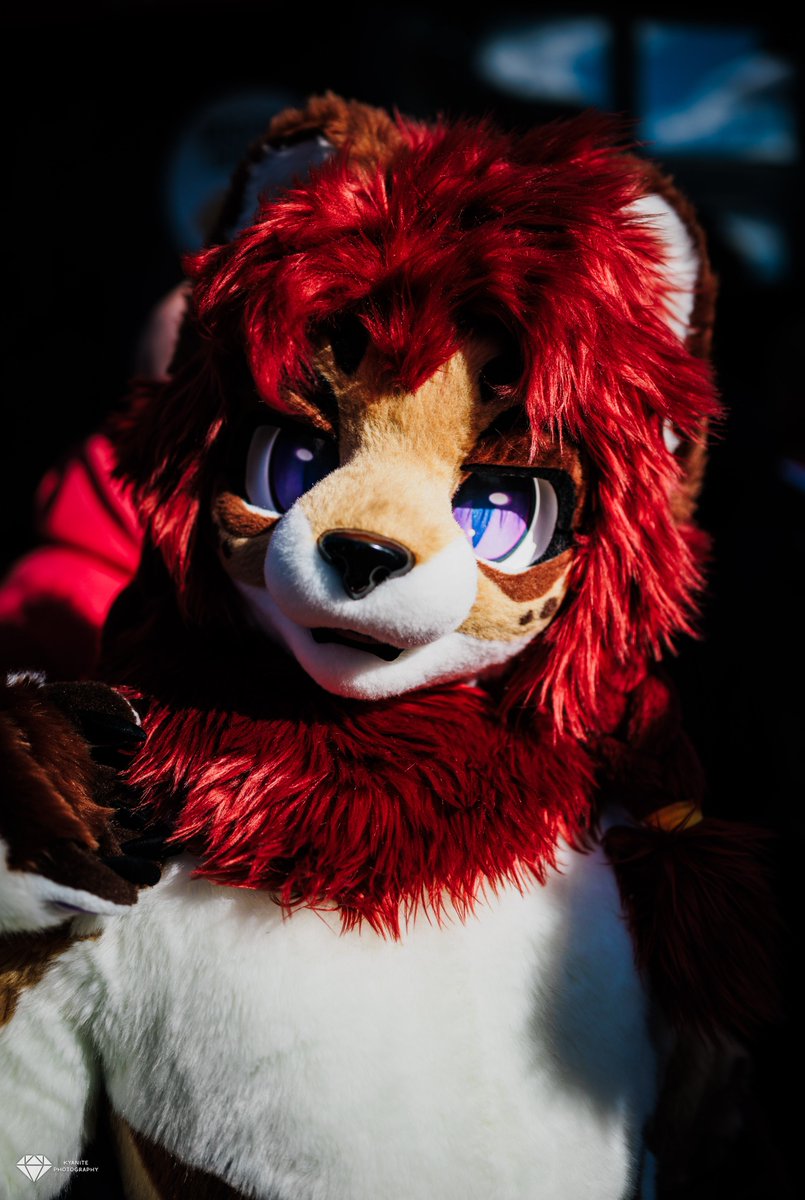Got some great photos of <a href="/ZapRedfield/">Zap</a> during the monthly furmeet in Copenhagen 

#Furry #furryphotography #furryfandom #fursuit