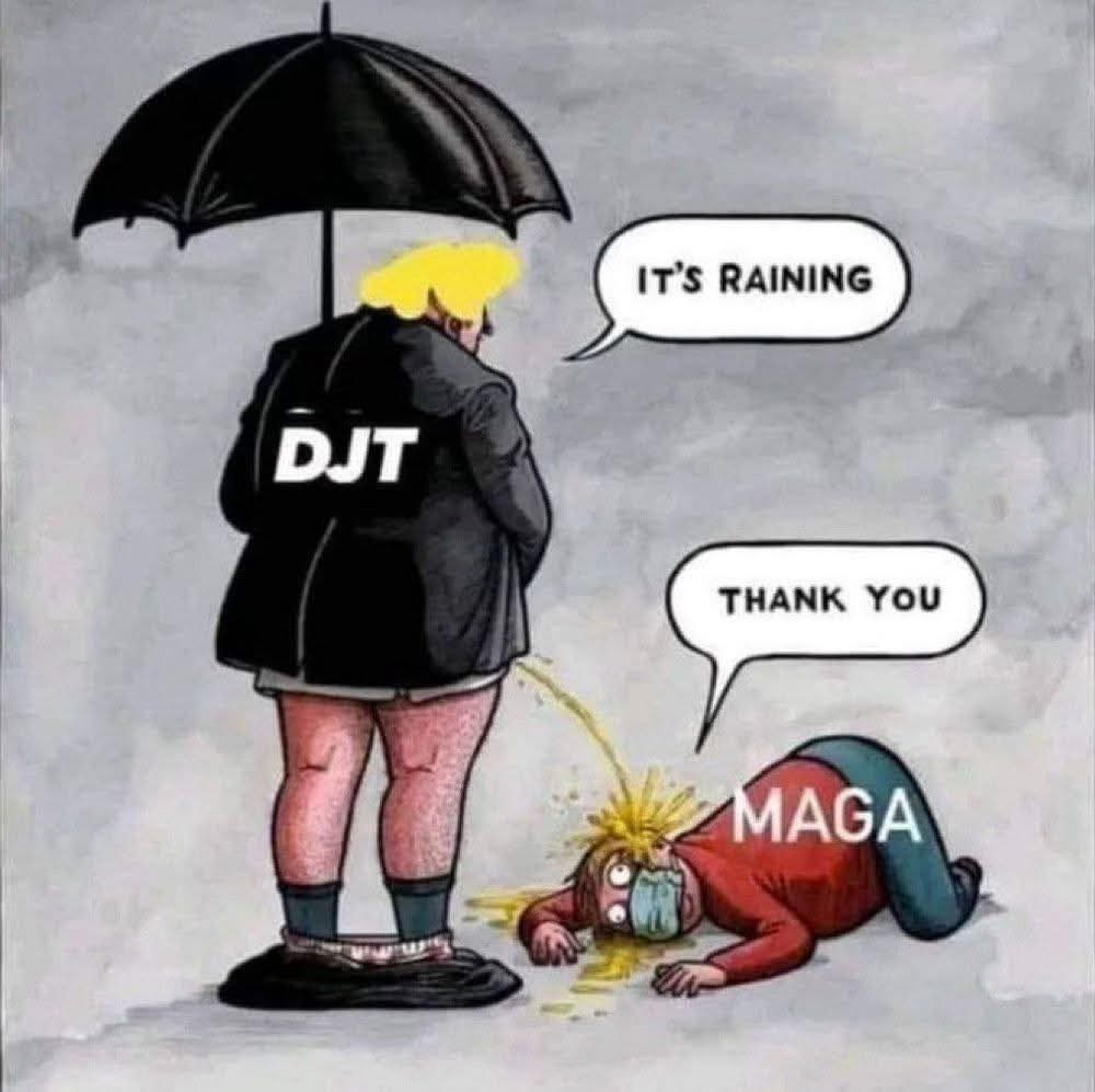 Tennesseine's tweet photo. Uncertain of the author,  but boy did they nail it! 🤣 #MAGA #MAGAMorons https://t.co/pfRduFUpGU