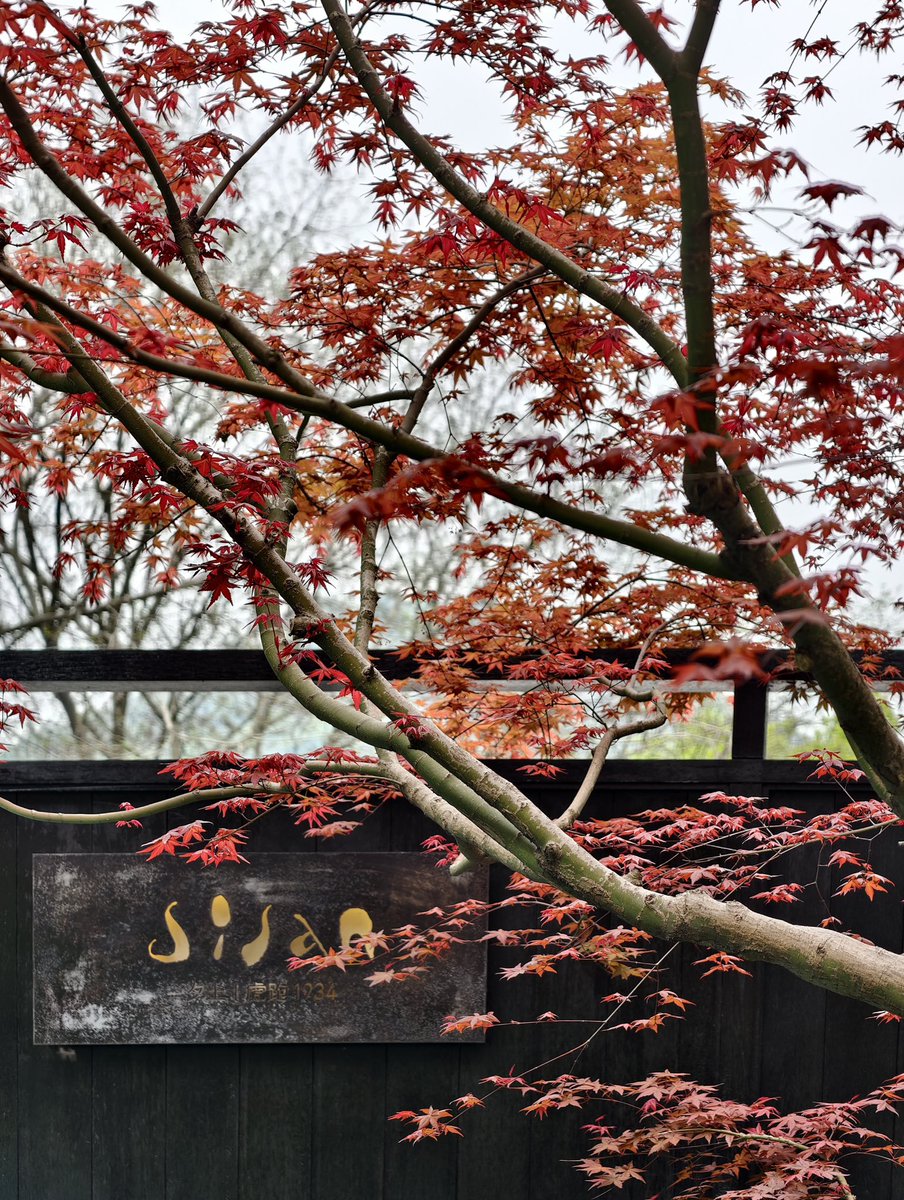 isolunamesis tweet media