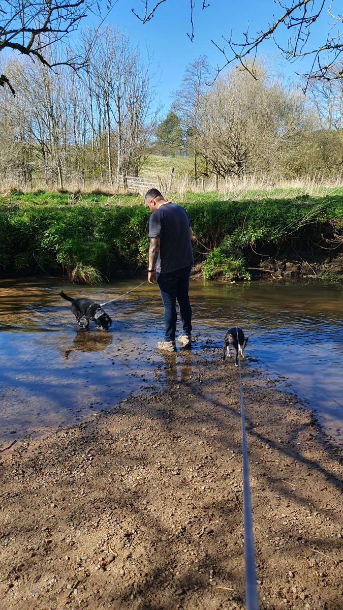Sunny Sunday dog walks are totally the vibe 😎 🙌🐕 So lucky to have this gorgeous spot on the doorstep 😍 #Sunday #sundaydogwalks #relax