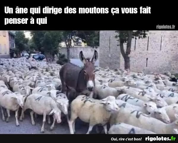 <a href="/GabrielAttal/">Gabriel Attal</a> <a href="/Renaissance/">Renaissance</a>