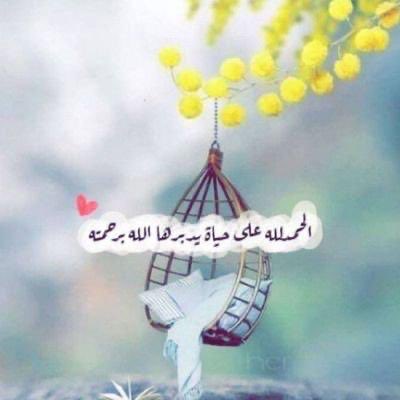 وصل وصل ☘️ ☘️☘️ (@ldaeer52304) on Twitter photo 💖🔥🔥🔥🔥💖
👑@Buthainase
<a href="/BhjtNfs/">بهجة نفس🇩🇿</a>
@njla1092
<a href="/A_m_eraa_/">الشيخ ابو إسلام (مفسر احلام) / معبر رويه</a>
<a href="/Shereen894/">☕⏤͟͟͞͞★๖شُـُـُُـُيرينـِِـِـ๖</a>
<a href="/Bashehri7/">bashehriسعيد باشحري</a>
<a href="/WehbeYm2/">YmWehbe حساب بديل</a>
<a href="/ir502600410/">ايس روز للهدايا - المهدية</a>
<a href="/amirzada37/">Amirzada</a>
<a href="/RAlqyfy38198/">ردفان النوفاني القيفي</a>
@Lamia104213
<a href="/alndy_qtr10691/">ريم حازم</a>
<a href="/AlshwyJmal86189/">جمال مساعد</a>
@md5123297343707 💖🔥🔥🔥🔥💖
👑@Buthainase
<a href="/BhjtNfs/">بهجة نفس🇩🇿</a>
@njla1092
<a href="/A_m_eraa_/">الشيخ ابو إسلام (مفسر احلام) / معبر رويه</a>
<a href="/Shereen894/">☕⏤͟͟͞͞★๖شُـُـُُـُيرينـِِـِـ๖</a>
<a href="/Bashehri7/">bashehriسعيد باشحري</a>
<a href="/WehbeYm2/">YmWehbe حساب بديل</a>
<a href="/ir502600410/">ايس روز للهدايا - المهدية</a>
<a href="/amirzada37/">Amirzada</a>
<a href="/RAlqyfy38198/">ردفان النوفاني القيفي</a>
@Lamia104213
<a href="/alndy_qtr10691/">ريم حازم</a>
<a href="/AlshwyJmal86189/">جمال مساعد</a>
@md5123297343707