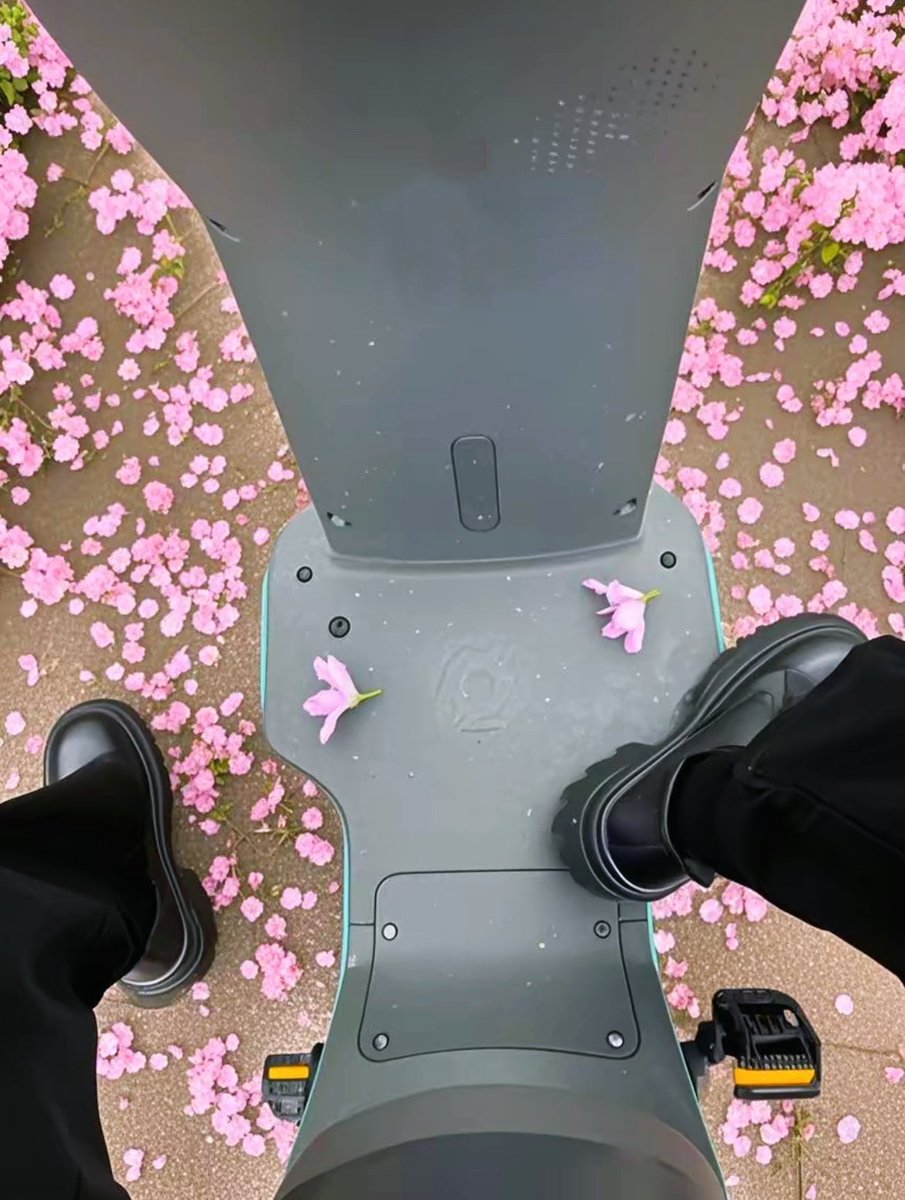 有春天的感觉