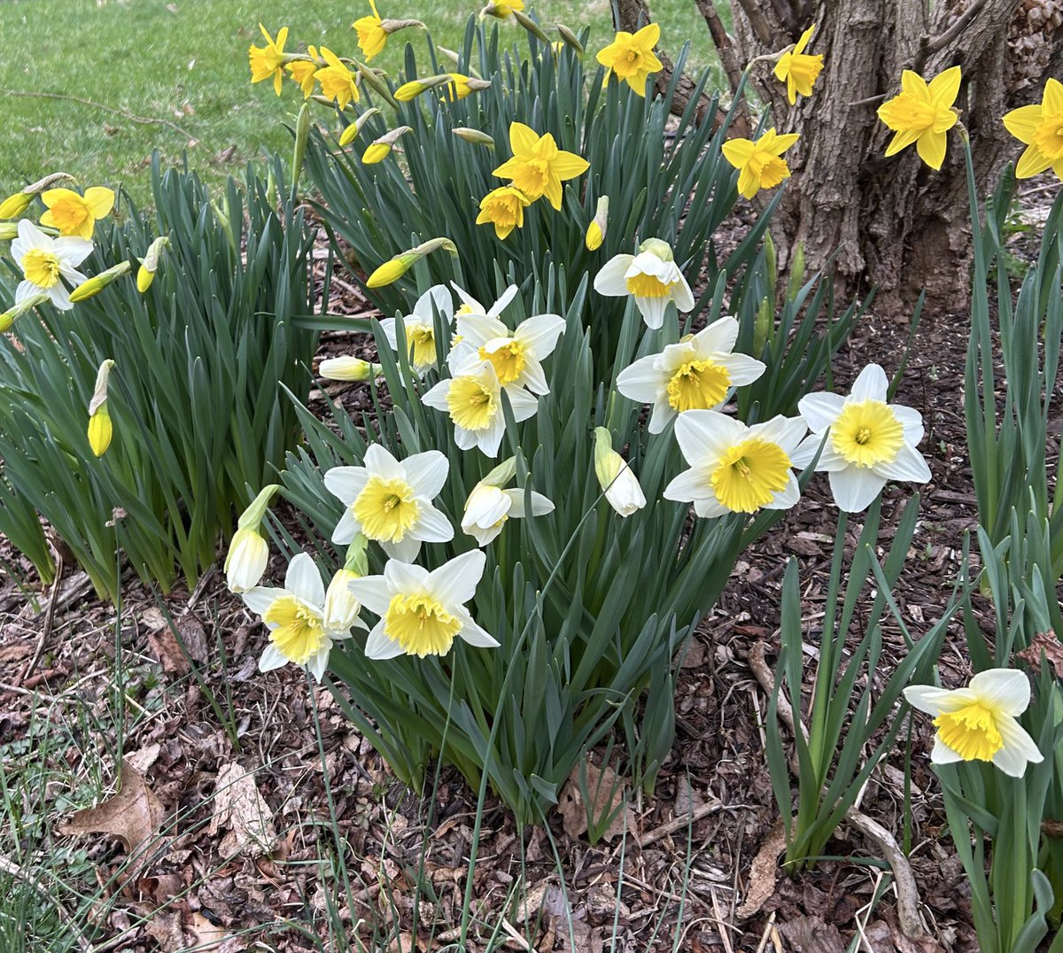 My Fave time of year is autumn but i sure do love when the flowers bloom
💜💜💜