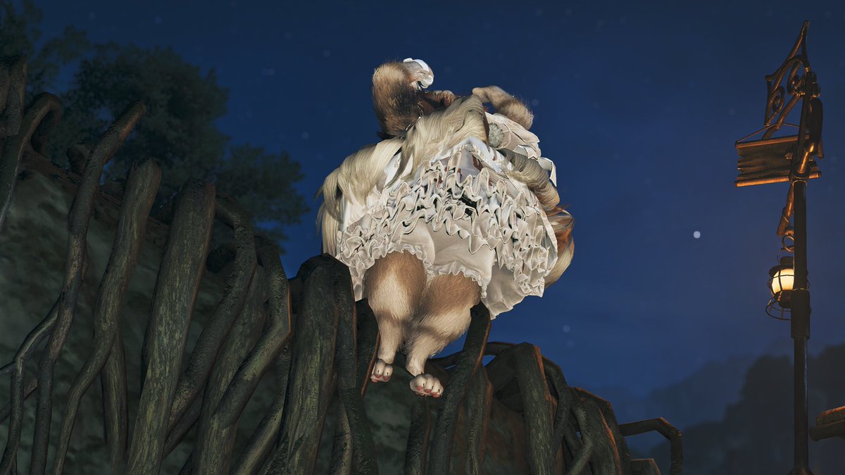 普通のうちのアイルーも。
迷ってる人、買いですよ👏 