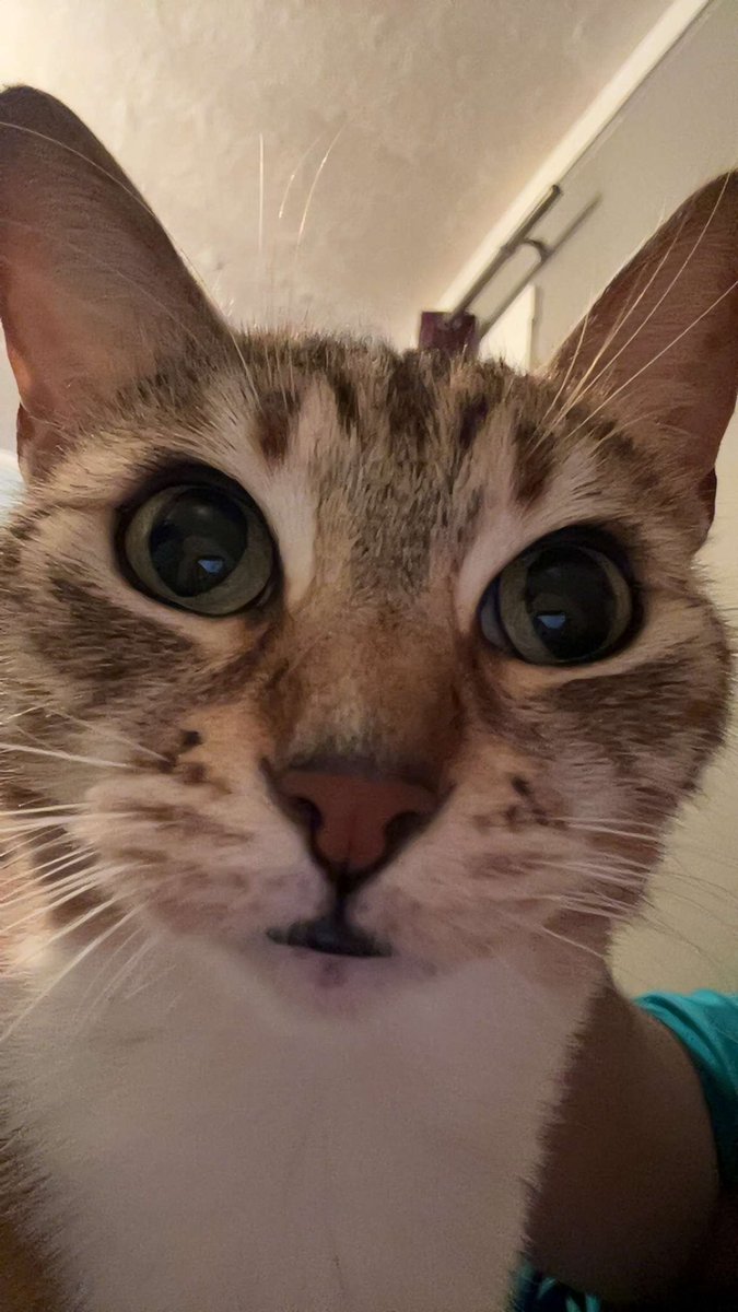 Who mogs who… <a href="/3thern3t/">Ethernet</a>