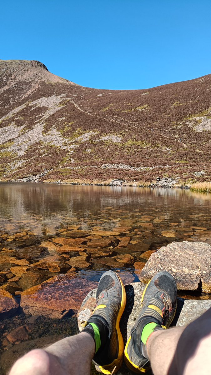 Will Taylor tweet media