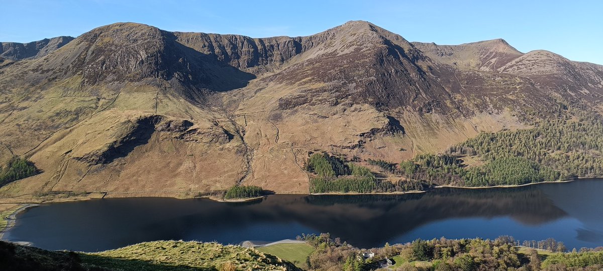 Will Taylor tweet media