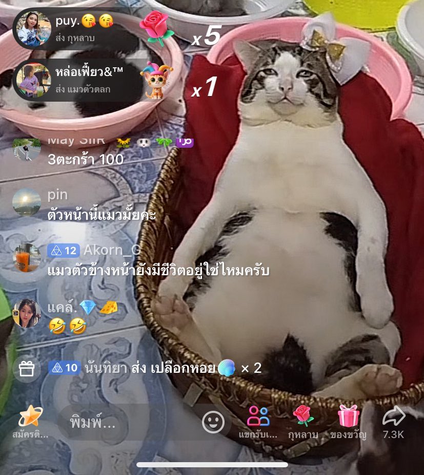 แฟนเลื่อนเจอน้องในติ้กต่อก หน้าตลกมาก5555555555555