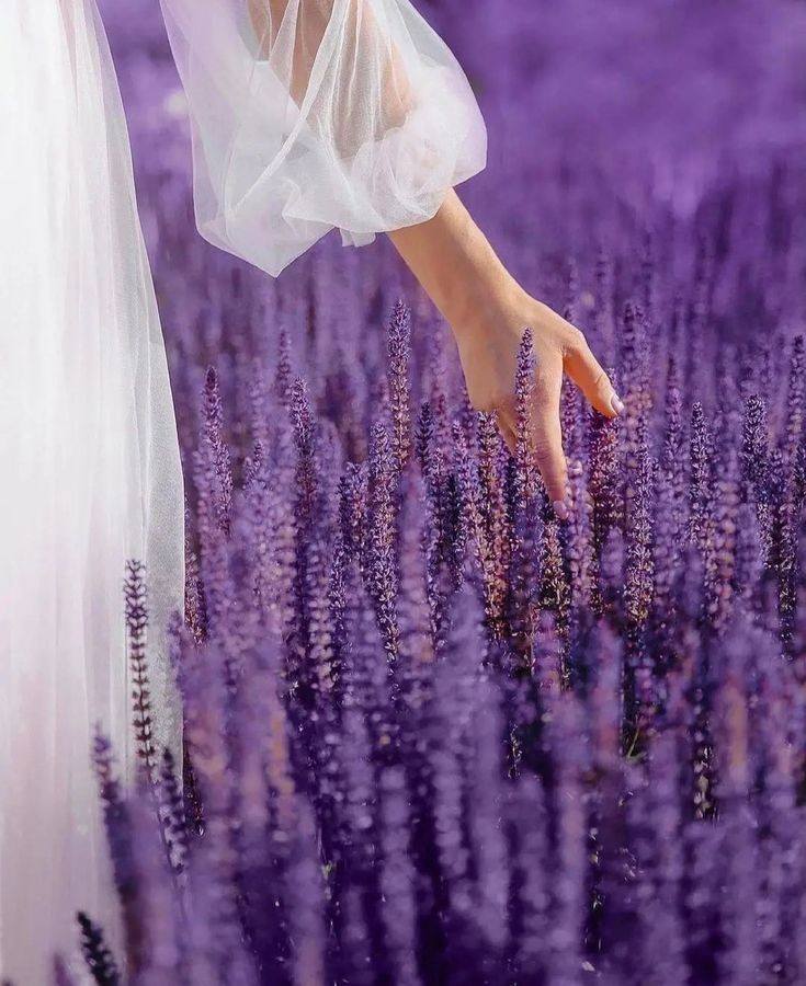 Selene ๎จ ๐๐คPerfectly imperfect ๐คโDMโ (@florchicana) on Twitter photo <a href="/vilaandrealili1/">Aลิััa ใ.โฅ โ</a> <a href="/gamer_fulla/">๐#ROYAL๐#INFINITY#MUNEE</a> <a href="/bella_xp/">แฆBellaแฆ</a> <a href="/MarcelaErcia/">๐MARCE๐โ #MarceTeAyuda๐ฎ#MarceLive๐ Meme y Popi</a> <a href="/RPrima789/">๐โฉเฟ ๐
ฑ๏ธ๐
ฟ๏ธriโ๏ธa777 ๐ฒ๐จ</a> <a href="/DjLavr0v/">DJ Lavr0v ๐ท๐บ</a> <a href="/Da__Eliz/">Eli๐ธ</a> <a href="/koishakknahi/">Happiness Rediscovered !!!</a> <a href="/MichaelSDoyle/">Michael Doyle</a> <a href="/msennna/">๐๐ช๐พ๐ป๐ธ ๐ง๐ท 22 ๐ง๐ท</a> <a href="/Spencerjames211/">Spencer James #GAINWITHPETAL #TMPETAL #Teamspirit</a> <a href="/0_0_5_1/">๐บ๐ธ๐บ๐ฆ</a> <a href="/DOCTOMR999/">DOCTOR</a> <a href="/__QueenEliz/">๐ ยฐโขยฐ Elyยฐโข๐</a> <a href="/_MaryEly_/">๐ ๐แญ MaryEly๐ป</a> <a href="/a_dc0h/">๐ธใใฃใณ๐ธ</a> <a href="/Ownjado/">Own</a> <a href="/Annie22462736/">Annieโค๏ธ๐</a> <a href="/OToleenO/">Toleen</a> Obrigada <a href="/vilaandrealili1/">Aลิััa ใ.โฅ โ</a>
#Munee ๐
#AIart <a href="/vilaandrealili1/">Aลิััa ใ.โฅ โ</a> <a href="/gamer_fulla/">๐#ROYAL๐#INFINITY#MUNEE</a> <a href="/bella_xp/">แฆBellaแฆ</a> <a href="/MarcelaErcia/">๐MARCE๐โ #MarceTeAyuda๐ฎ#MarceLive๐ Meme y Popi</a> <a href="/RPrima789/">๐โฉเฟ ๐
ฑ๏ธ๐
ฟ๏ธriโ๏ธa777 ๐ฒ๐จ</a> <a href="/DjLavr0v/">DJ Lavr0v ๐ท๐บ</a> <a href="/Da__Eliz/">Eli๐ธ</a> <a href="/koishakknahi/">Happiness Rediscovered !!!</a> <a href="/MichaelSDoyle/">Michael Doyle</a> <a href="/msennna/">๐๐ช๐พ๐ป๐ธ ๐ง๐ท 22 ๐ง๐ท</a> <a href="/Spencerjames211/">Spencer James #GAINWITHPETAL #TMPETAL #Teamspirit</a> <a href="/0_0_5_1/">๐บ๐ธ๐บ๐ฆ</a> <a href="/DOCTOMR999/">DOCTOR</a> <a href="/__QueenEliz/">๐ ยฐโขยฐ Elyยฐโข๐</a> <a href="/_MaryEly_/">๐ ๐แญ MaryEly๐ป</a> <a href="/a_dc0h/">๐ธใใฃใณ๐ธ</a> <a href="/Ownjado/">Own</a> <a href="/Annie22462736/">Annieโค๏ธ๐</a> <a href="/OToleenO/">Toleen</a> Obrigada <a href="/vilaandrealili1/">Aลิััa ใ.โฅ โ</a>
#Munee ๐
#AIart