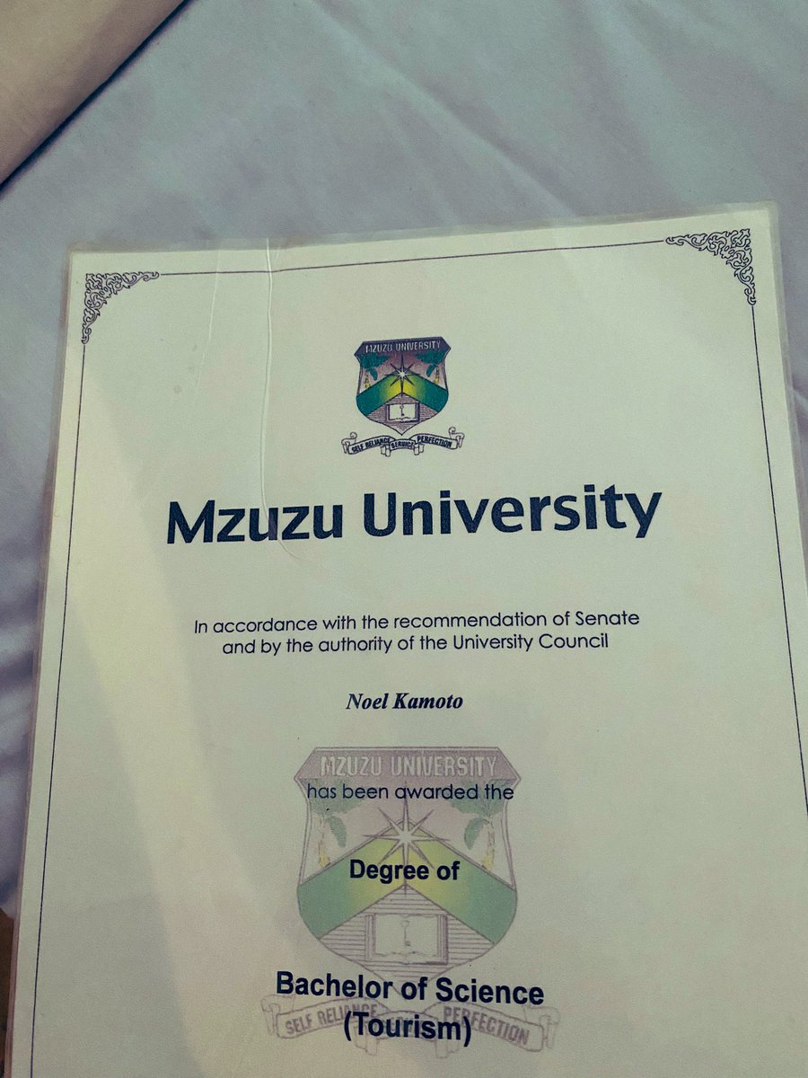 Noel Kamoto tweet media