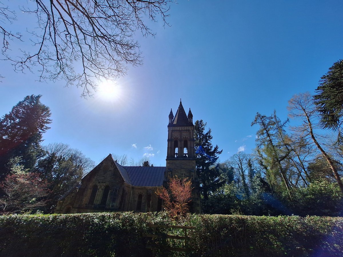 birdcampics's tweet image. Gorgeous spring walk today #NantMill #Wrexham