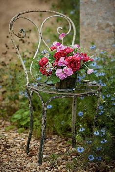 LindaMahkovec's tweet photo. The Garden House – https://t.co/SsUTAh6Ee5
$0.99 for spring!
#readingisbeautiful #books #readingislife #midlife #homemade #booklovers #Goodreads #womensfiction #bookworms #readingworld #readinginthegarden #sundayreading
Reinvention and blossoming at any age. https://t.co/C58tzXnpL0