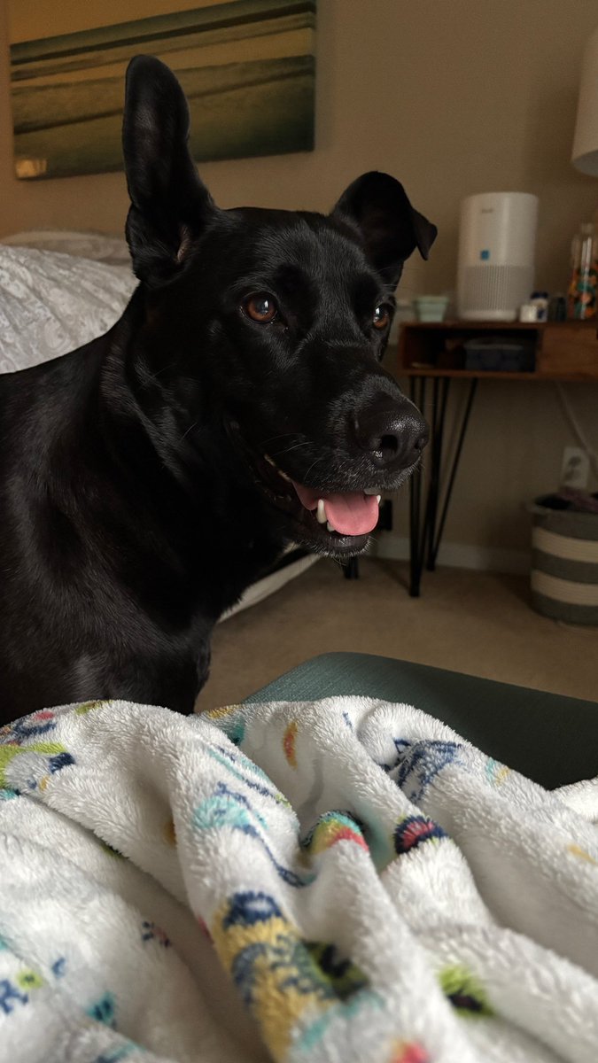 Jerico (@cursed_jer) on Twitter photo 