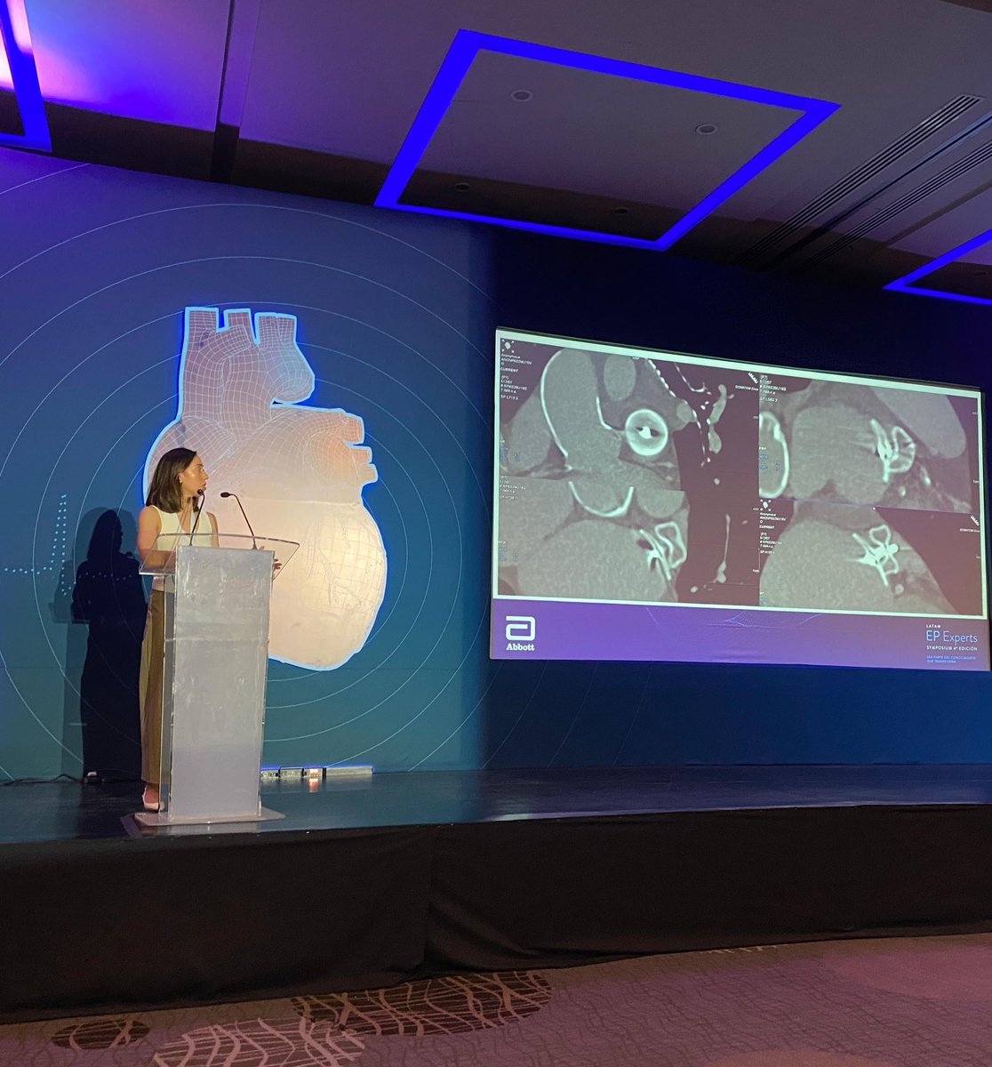 Fernanda tweet media