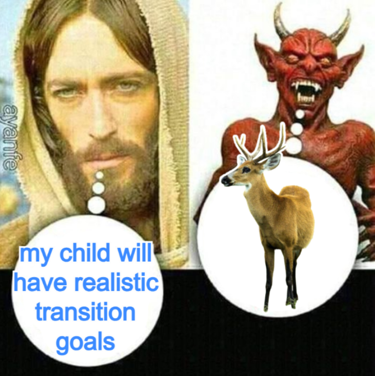 transgendeer (@ciervatonta) on Twitter photo 