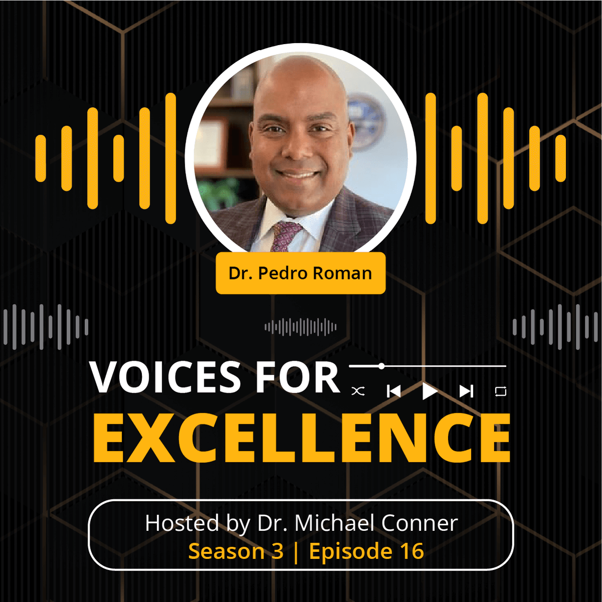 DocConner13's tweet image. Season 3 Episode 16 of VFE with @Dr_P_Roman, Superintendent of Hyde Park Central School District, is LIVE! Available now on VoicesForExcellence.com #VoicesForExcellence #EducationLeadership
