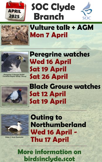 More info can be found at: birdsinclyde.scot