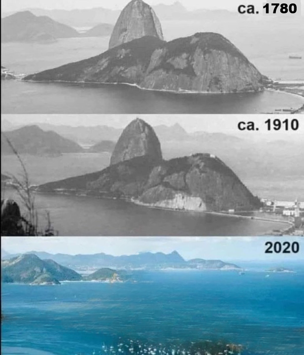 Polscy Ekolodzy 🟢☮️ tweet media