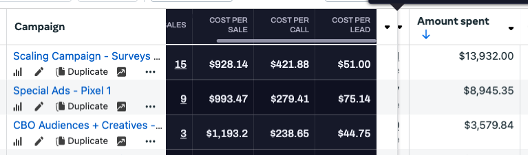LEAD COST DOES NOT MATTER.

If you focused on cost per lead here, it would lead you to scale the worst campaign.

If you focused on cost per appointment you would cut the best campaign. 

If you can't see this data, forget everything else. 

This is your #1 problem.