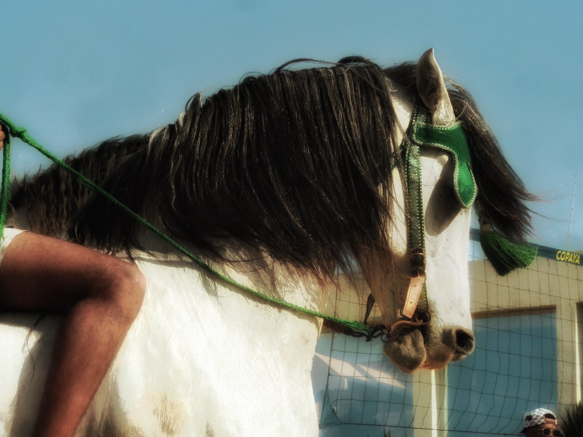 under today’s sun ☀️