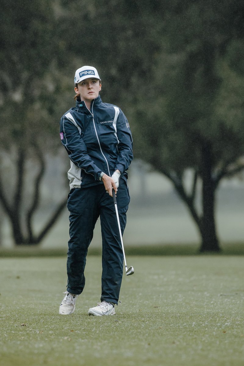 Lauren Walsh tweet media