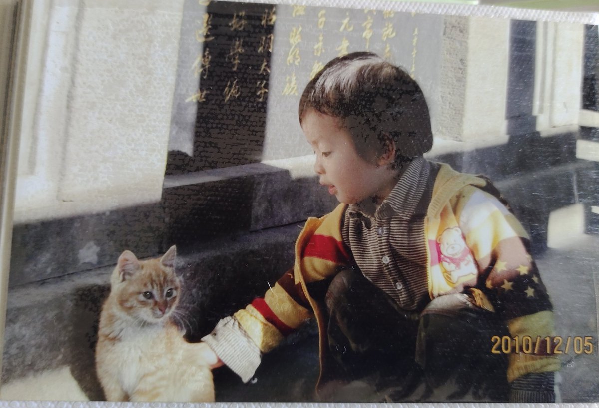 小猫眼里有光诶